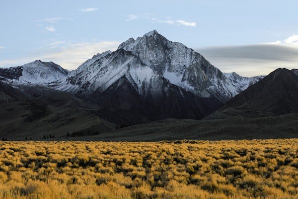 When the Mountains Speak